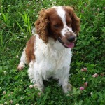 1009-Buster