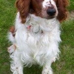 Buster