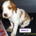 Smalls100208