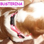 Busterina