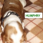 Humphry