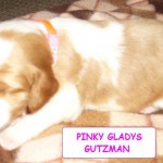 Pinky