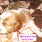 Pinky