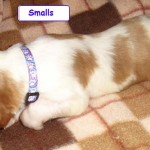 smalls100201
